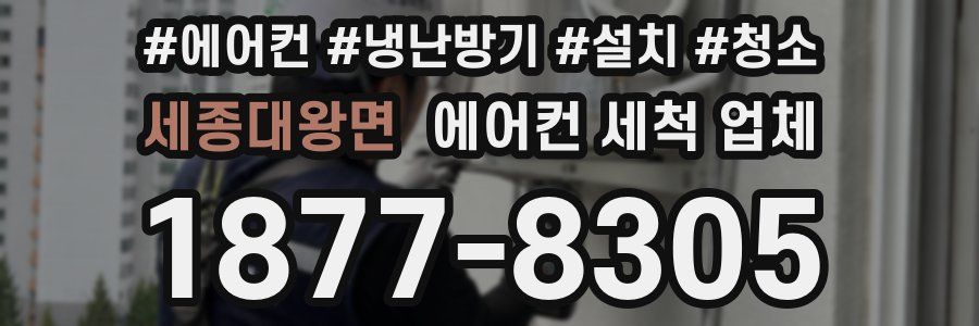 세종대왕면 에어컨 세척 업체