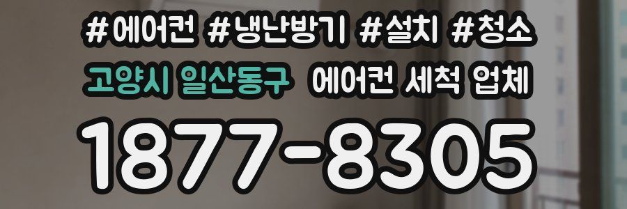 고양시 일산동구 에어컨 세척 업체