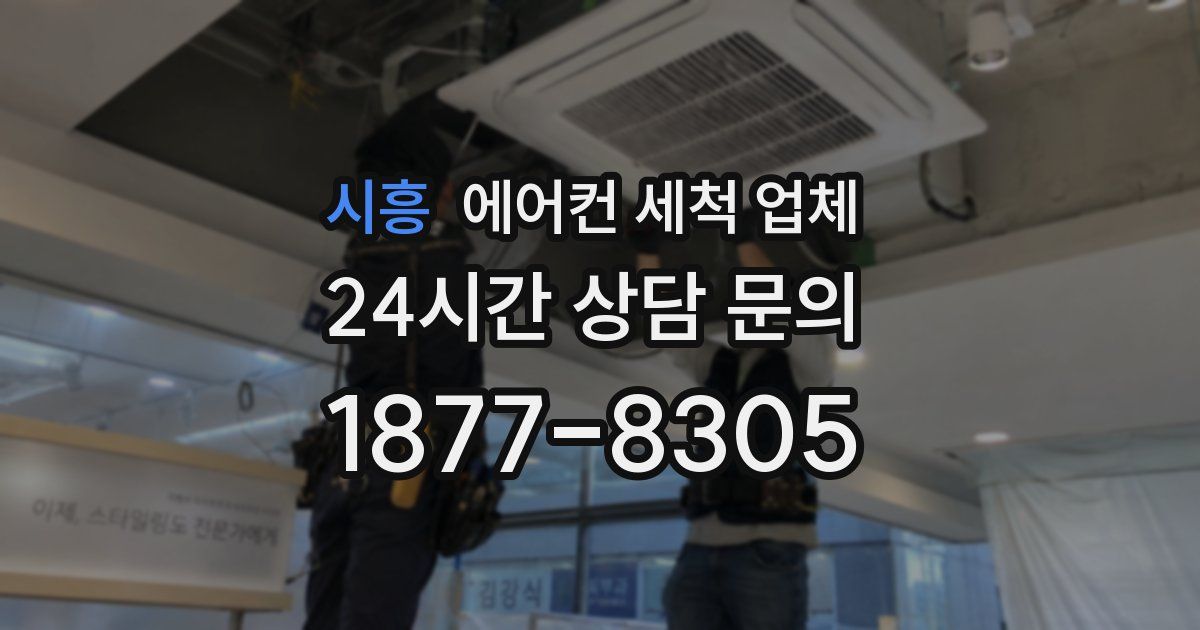 시흥 에어컨 세척 업체