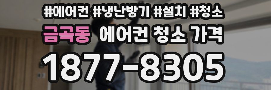 금곡동 에어컨 청소 가격