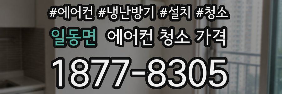 일동면 에어컨 청소 가격