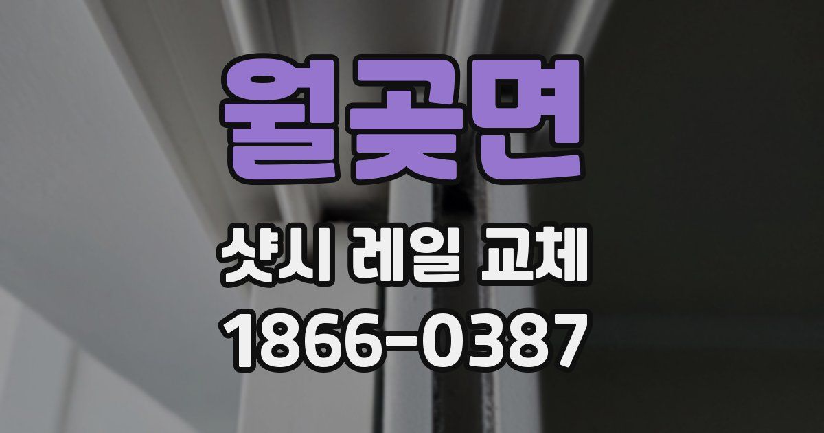 월곶면 샷시 레일 교체