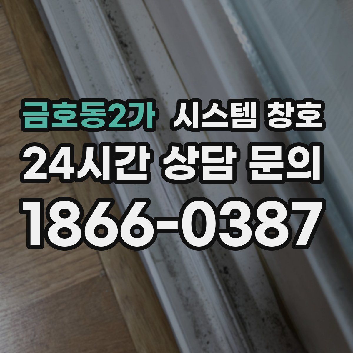 금호동2가 시스템 창호