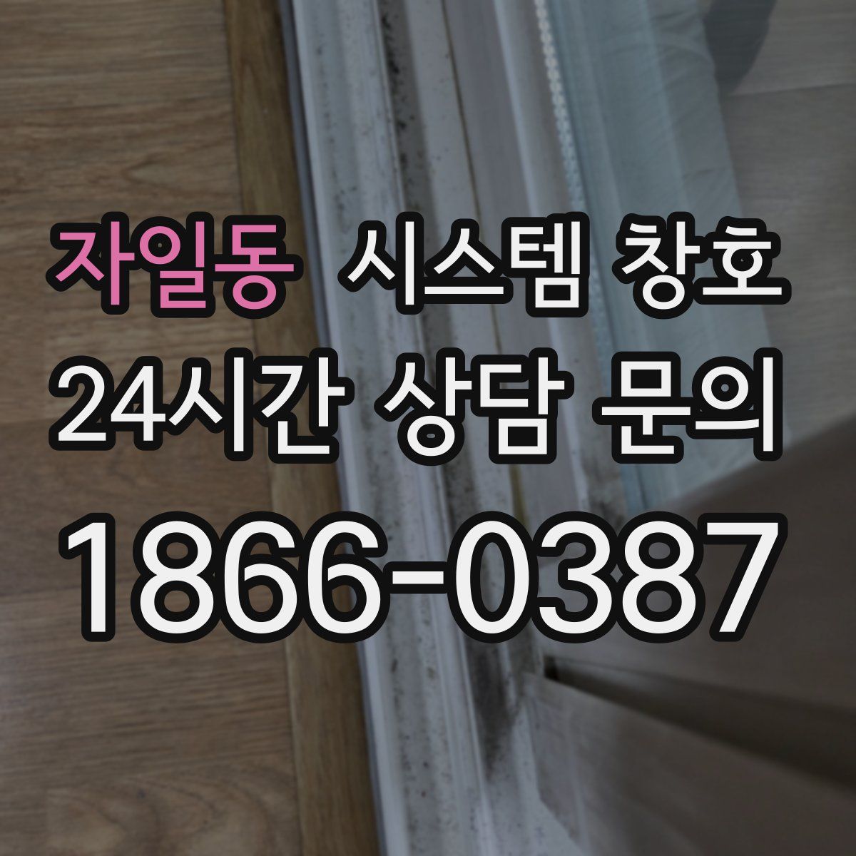 자일동 시스템 창호