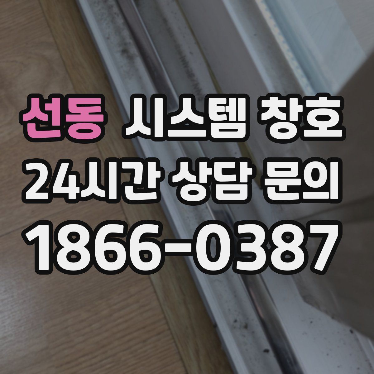 선동 시스템 창호