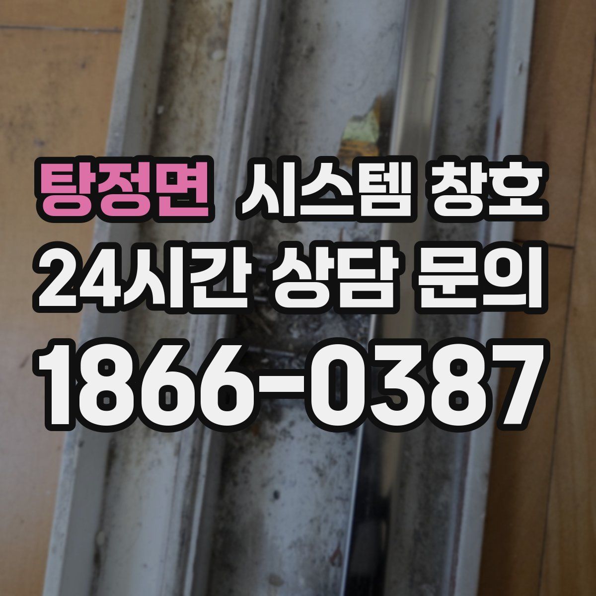 탕정면 시스템 창호