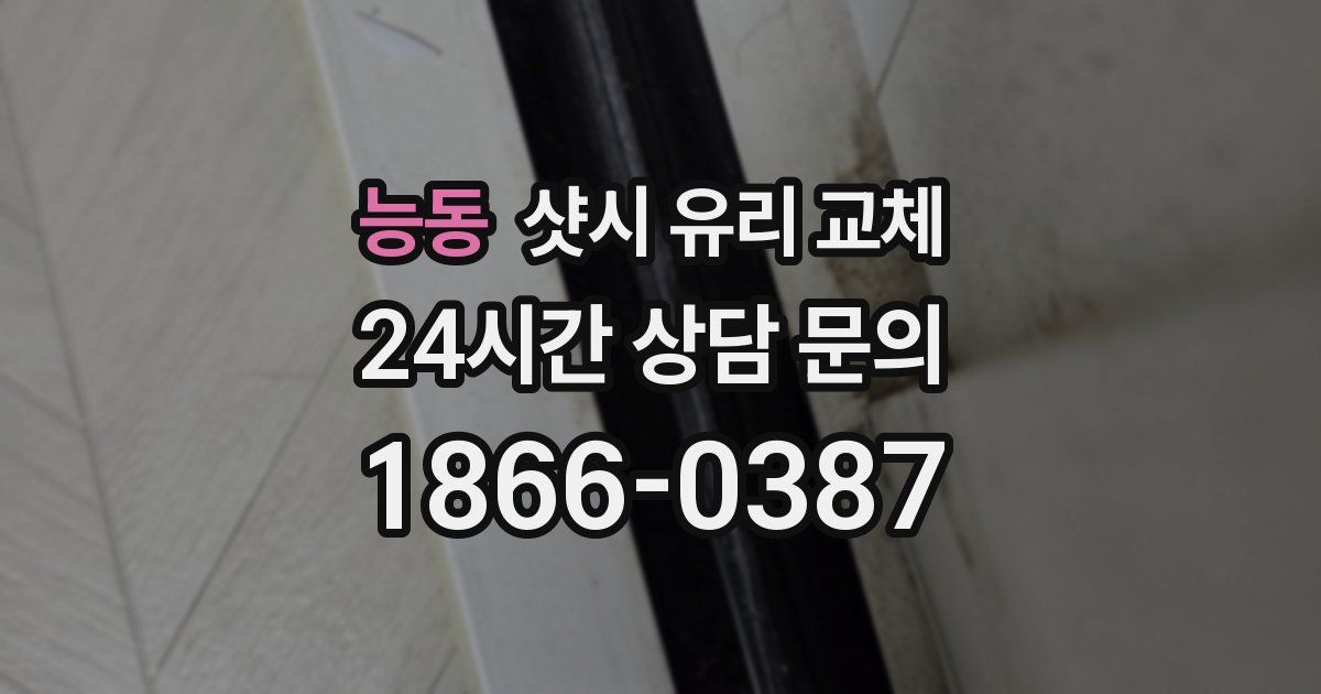 능동 샷시 유리 교체