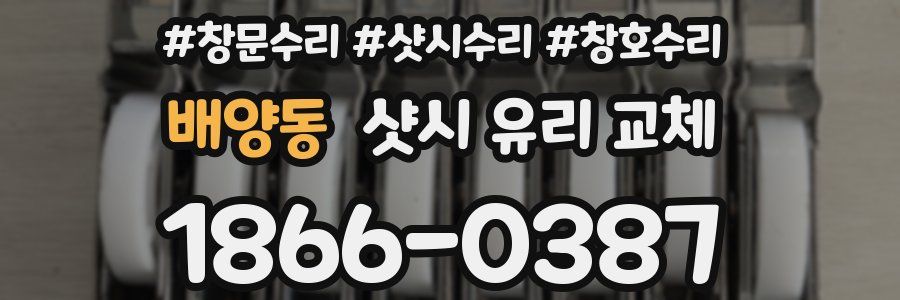 배양동 샷시 유리 교체