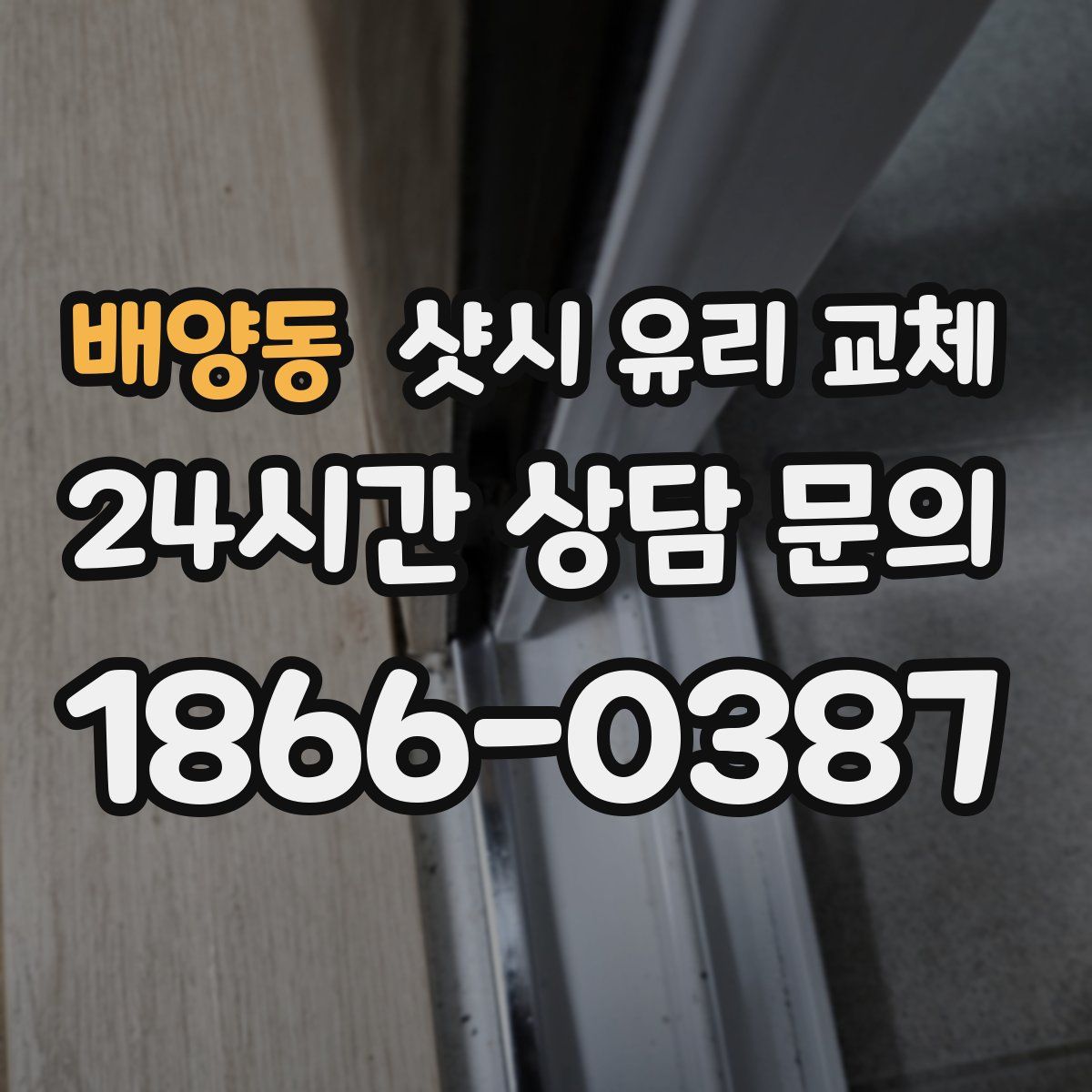 배양동 샷시 유리 교체