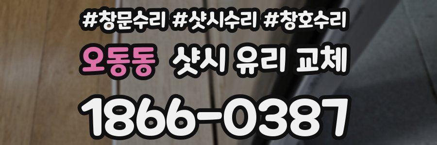 오동동 샷시 유리 교체