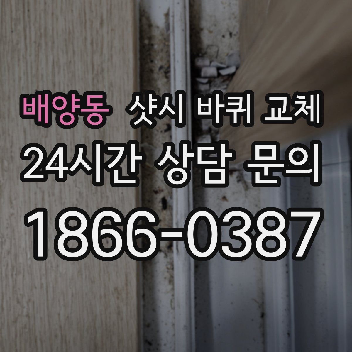 배양동 샷시 바퀴 교체