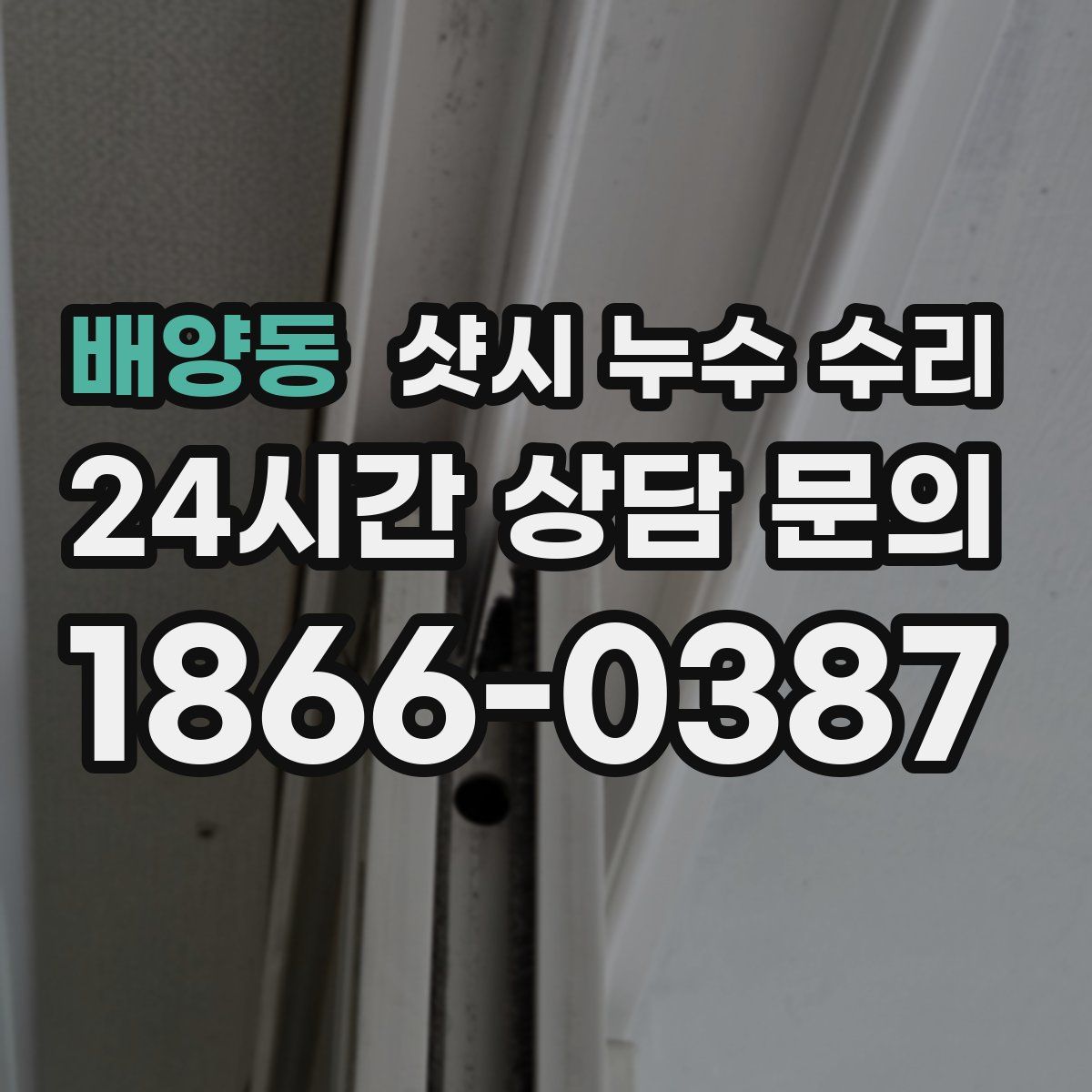 배양동 샷시 누수 수리
