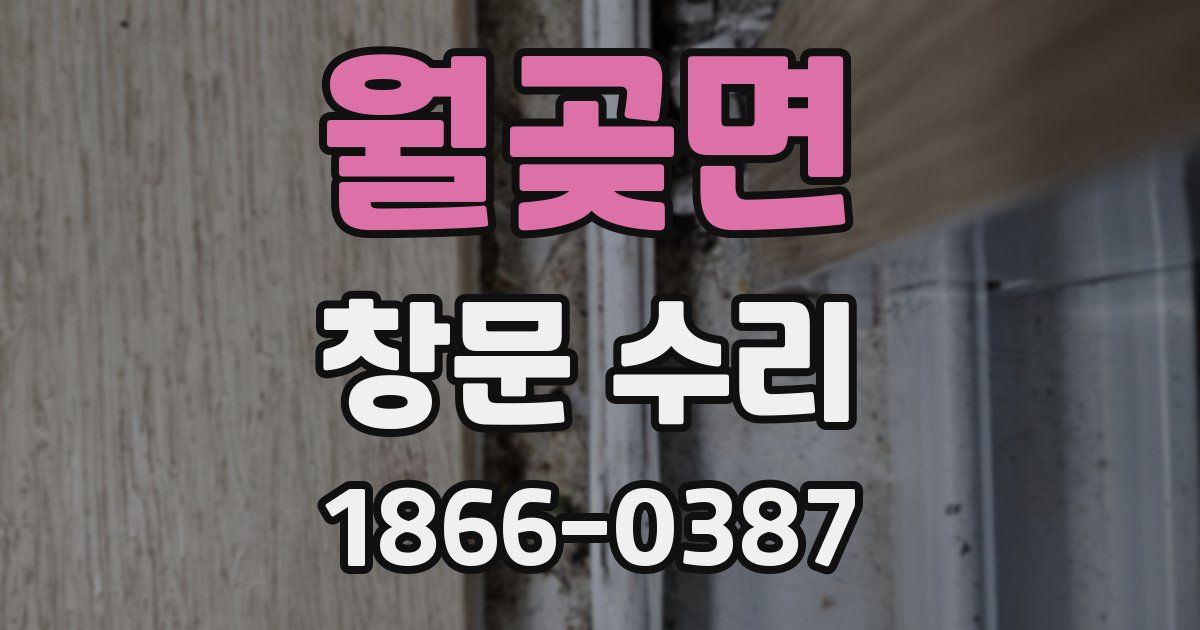 월곶면 창문 수리