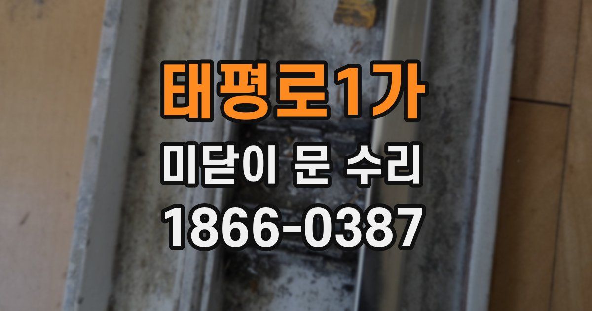 태평로1가 미닫이 문 수리