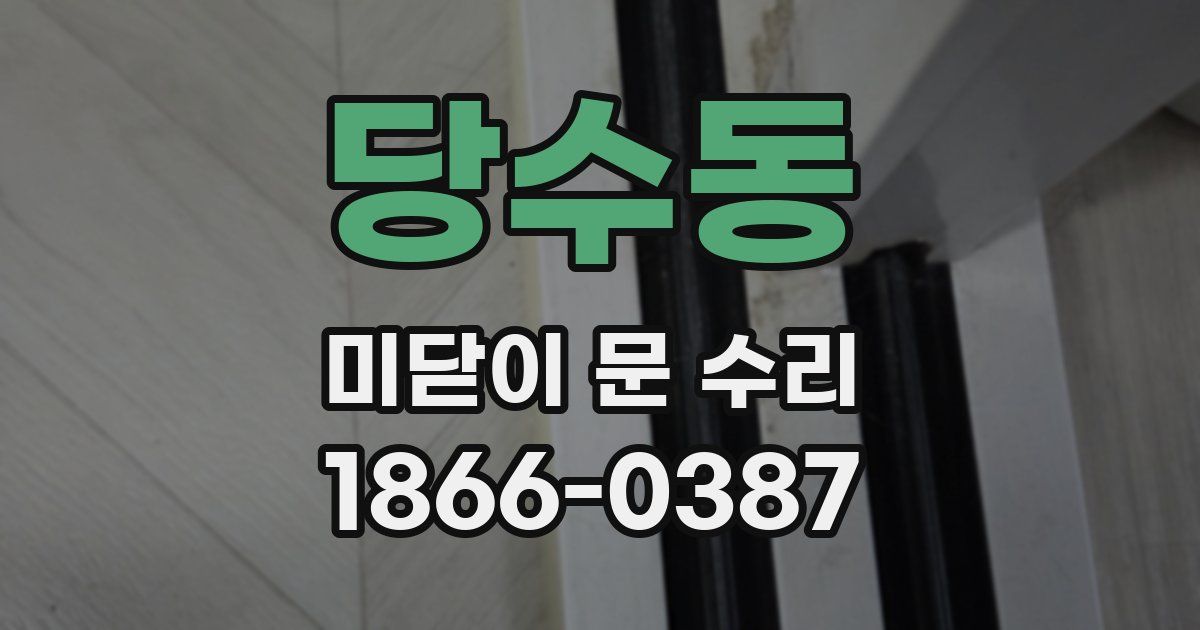 당수동 미닫이 문 수리