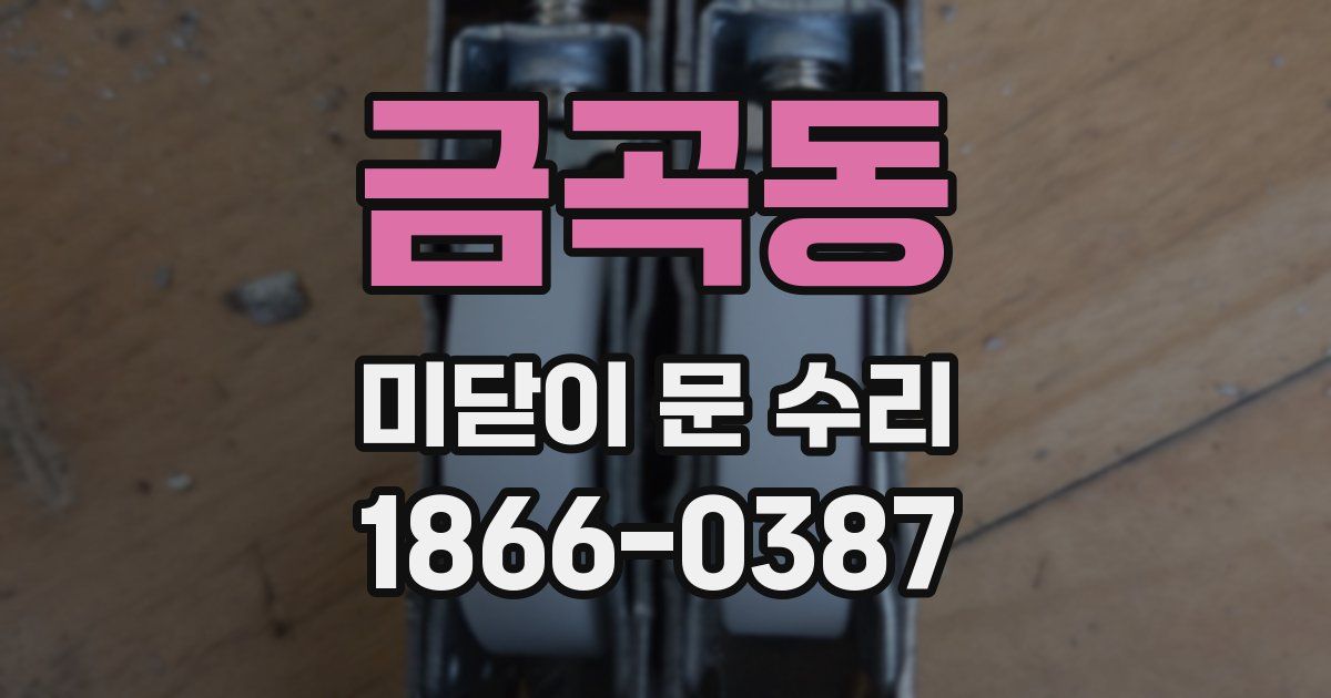 금곡동 미닫이 문 수리