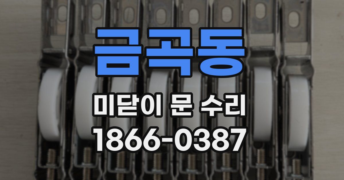 금곡동 미닫이 문 수리