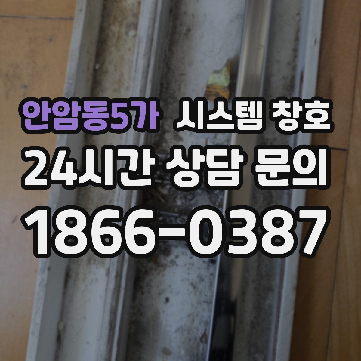 안암동5가 시스템 창호