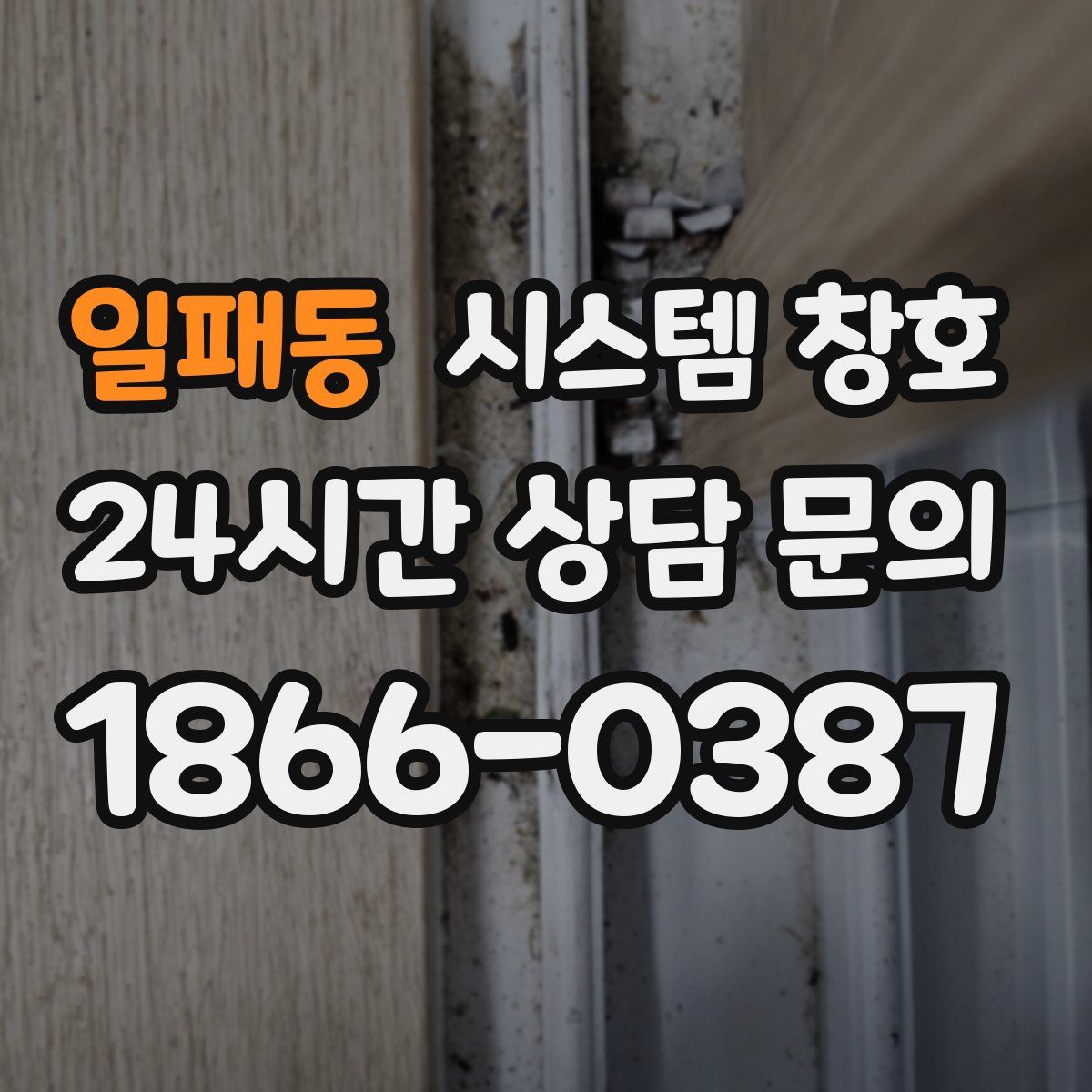 일패동 시스템 창호