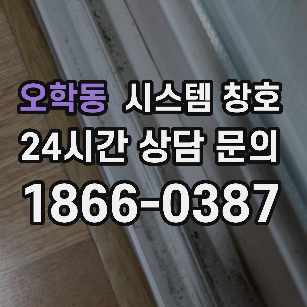 오학동 시스템 창호