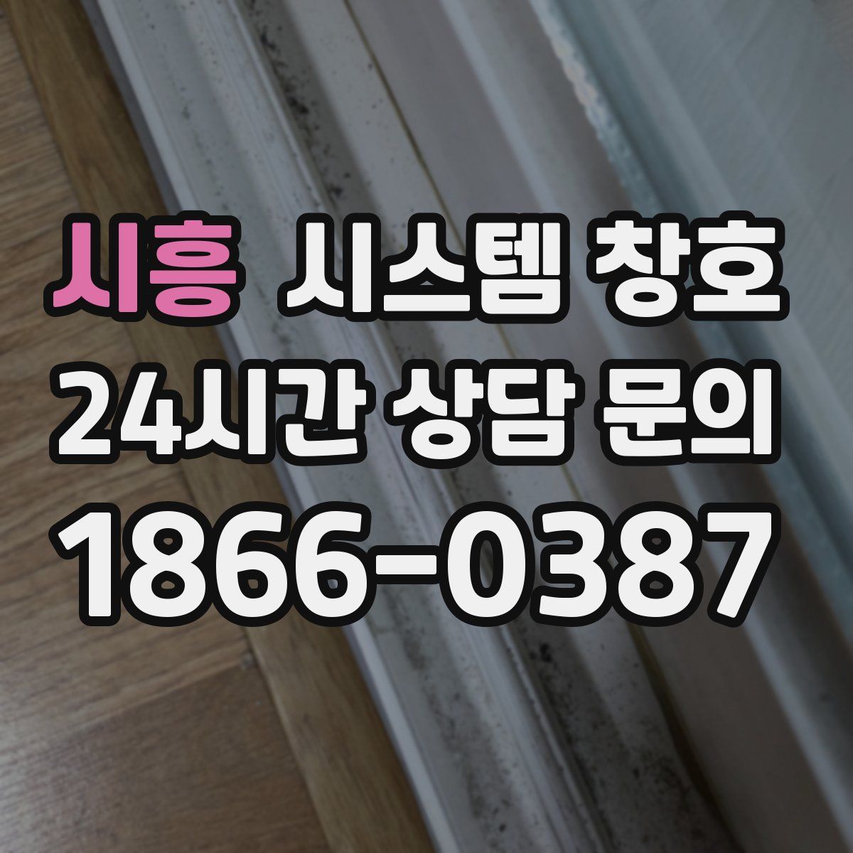 시흥 시스템 창호