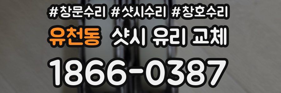 유천동 샷시 유리 교체