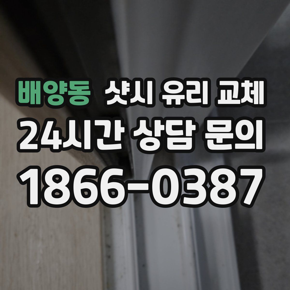 배양동 샷시 유리 교체