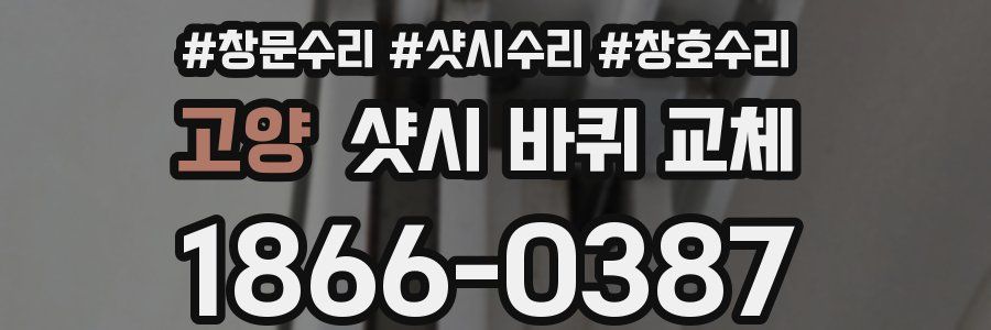 고양 샷시 바퀴 교체