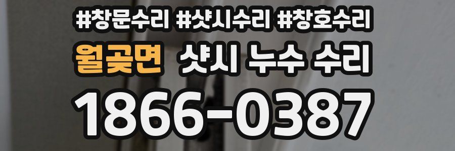 월곶면 샷시 누수 수리