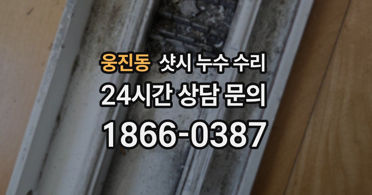웅진동 샷시 누수 수리