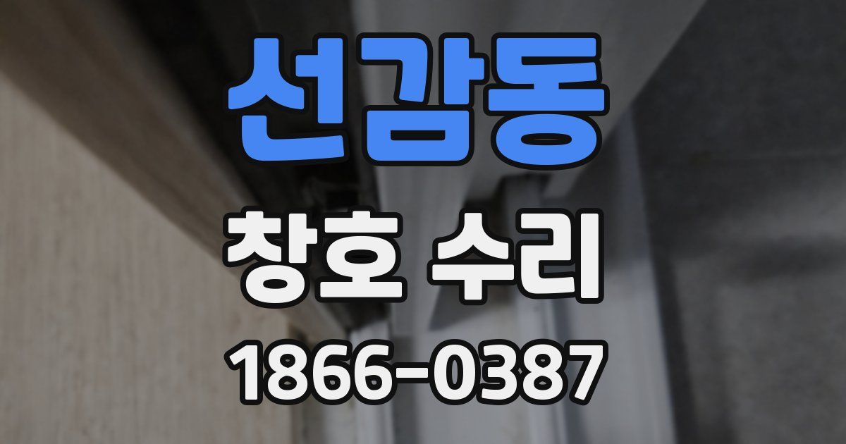선감동 창호 수리