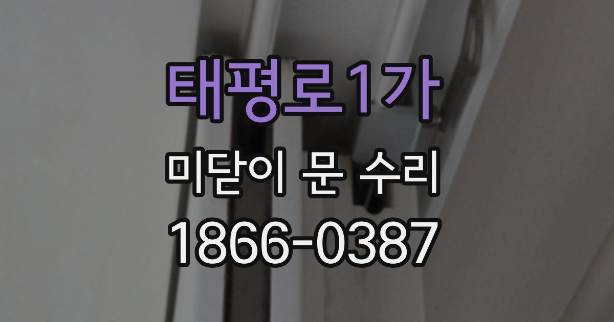 태평로1가 미닫이 문 수리
