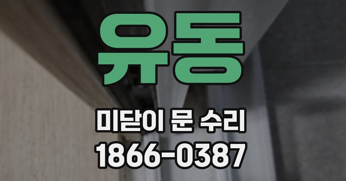 유동 미닫이 문 수리