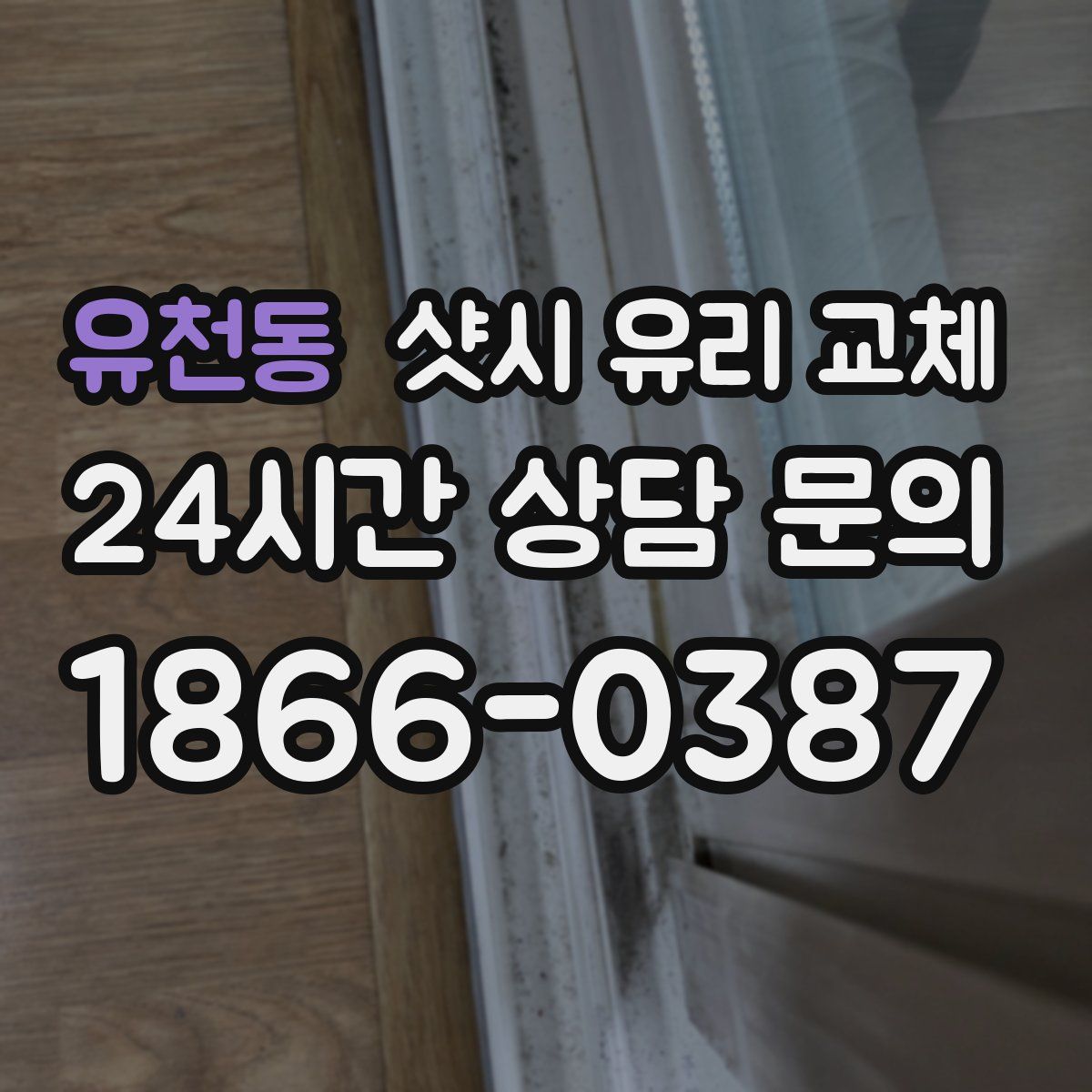 유천동 샷시 유리 교체