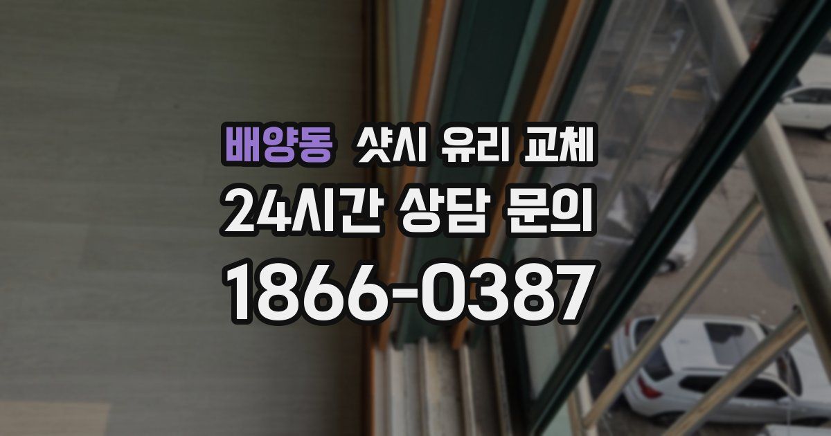 배양동 샷시 유리 교체