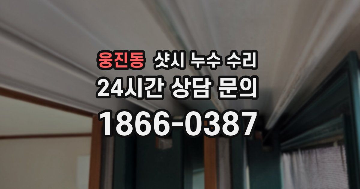 웅진동 샷시 누수 수리