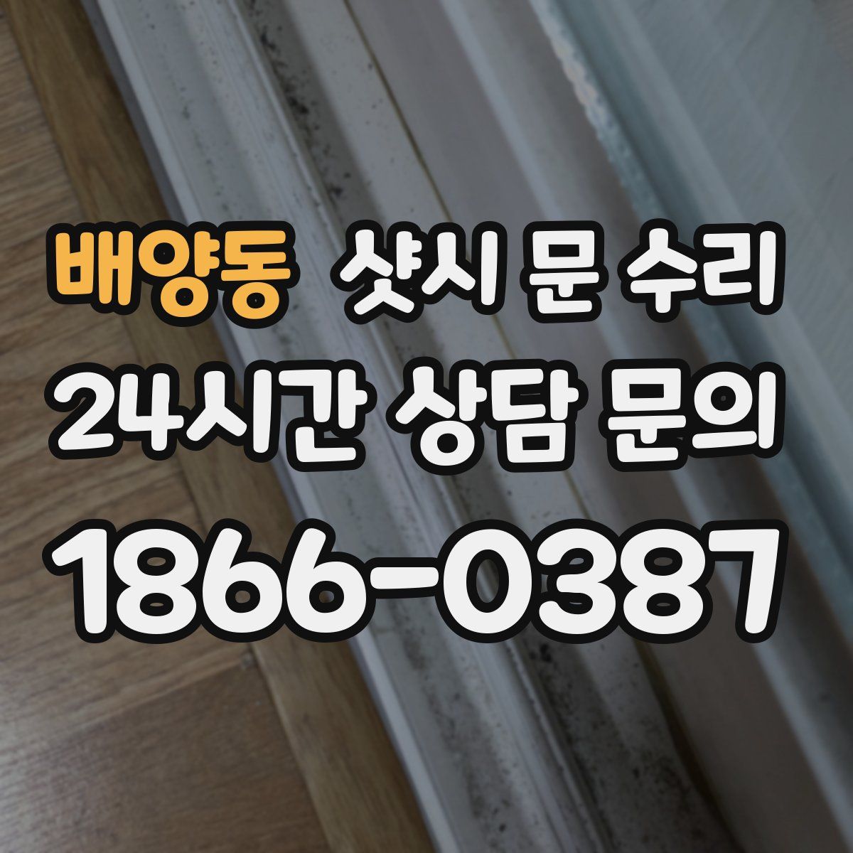 배양동 샷시 문 수리