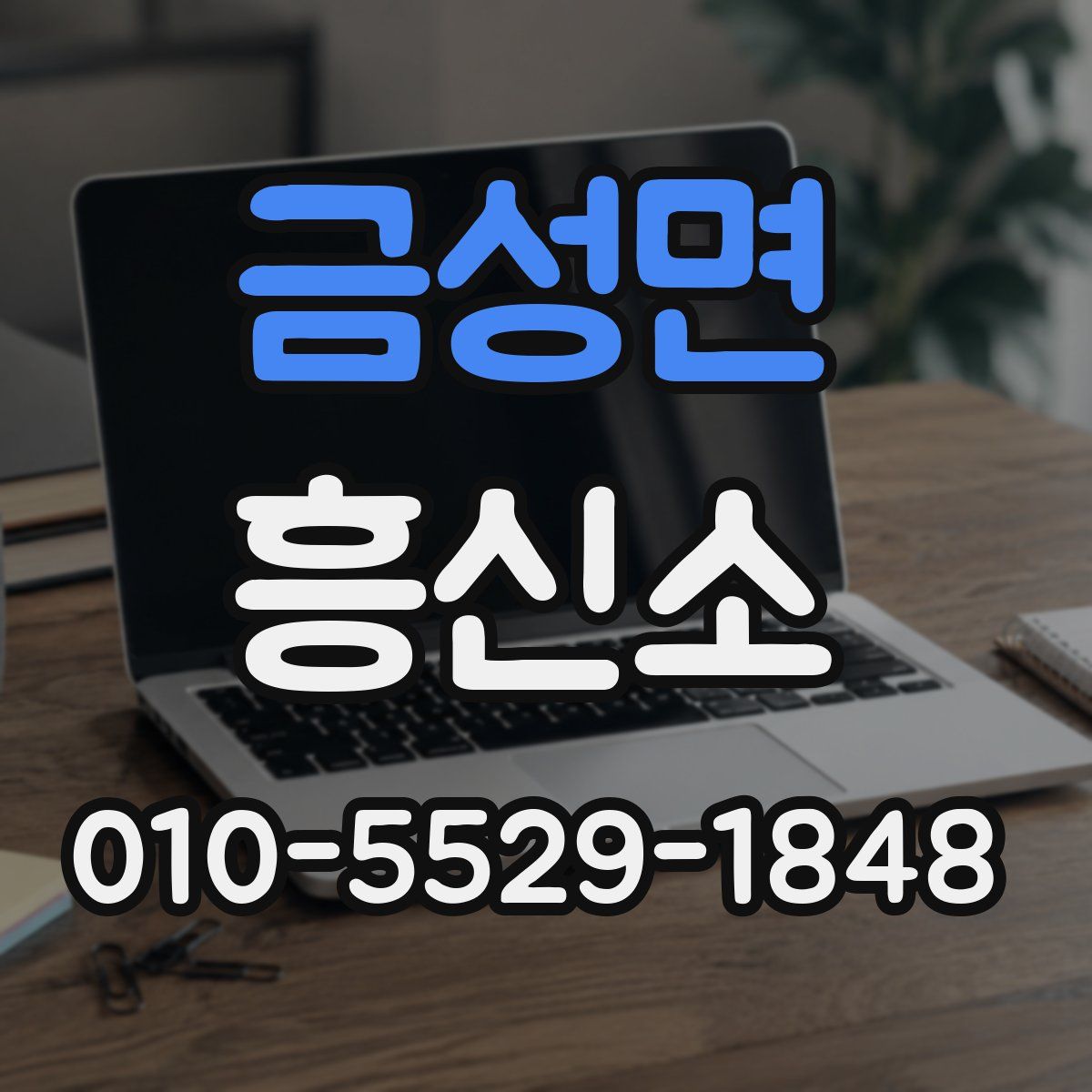 금성면 흥신소