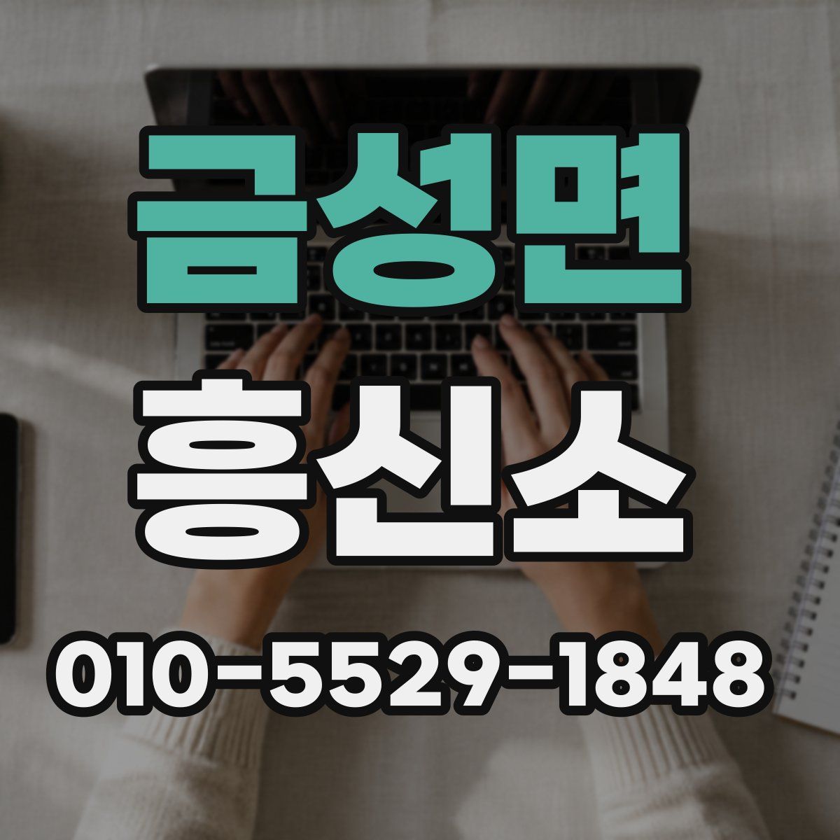금성면 흥신소