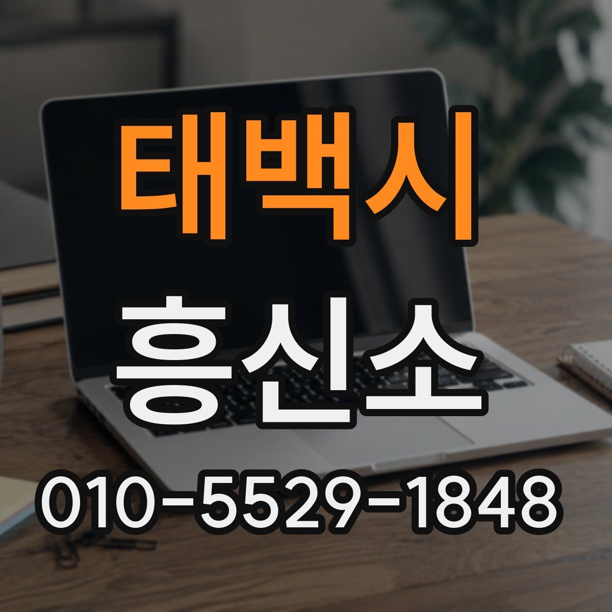 태백시 흥신소