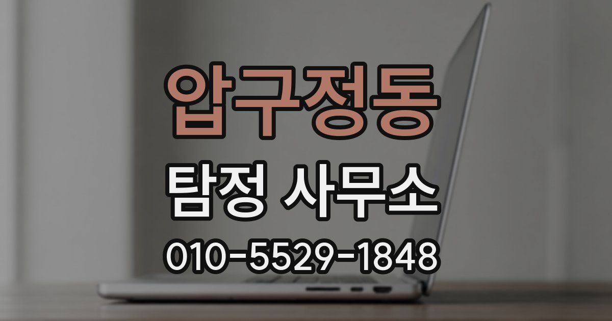 압구정동 탐정 사무소