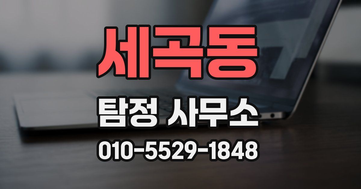 세곡동 탐정 사무소