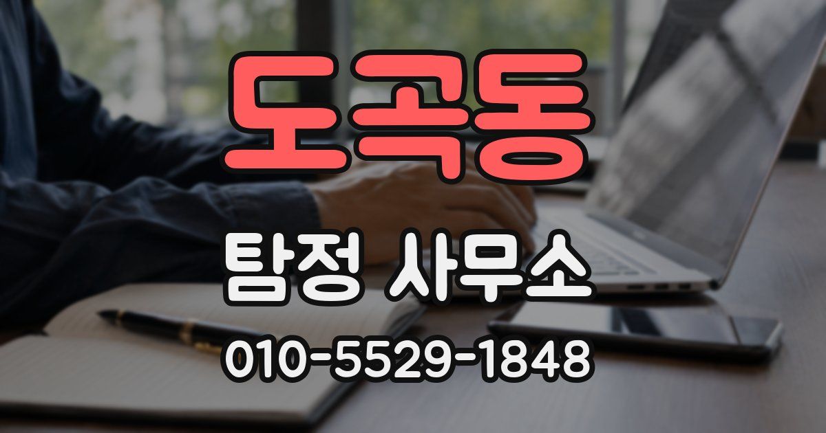 도곡동 탐정 사무소