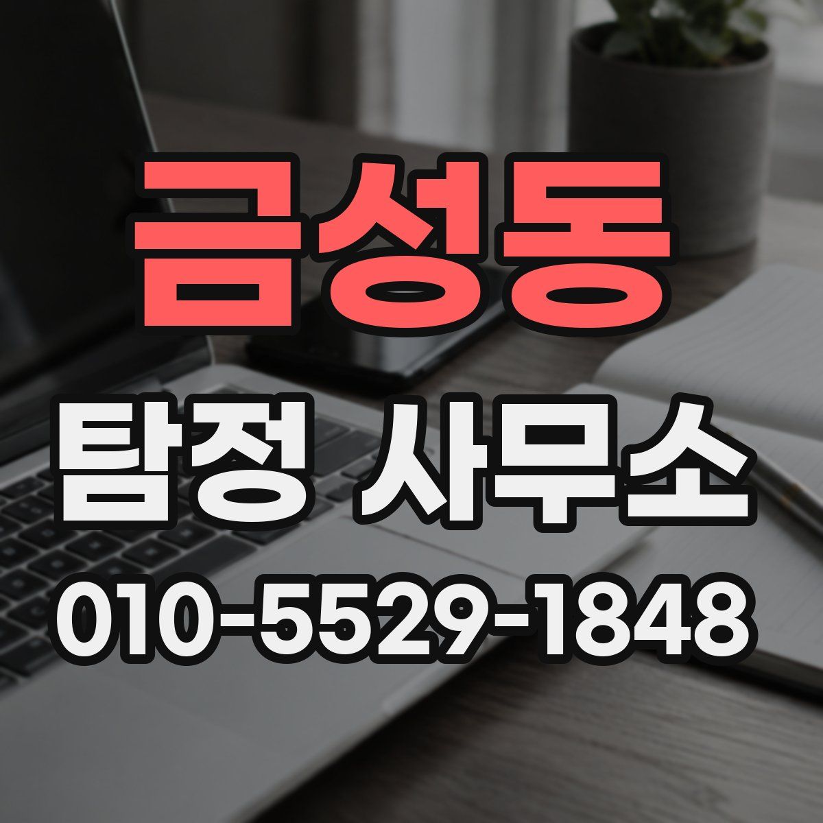 금성동 탐정 사무소