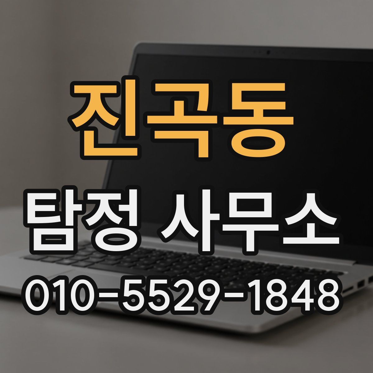 진곡동 탐정 사무소
