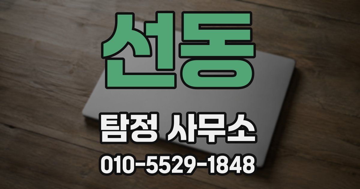 선동 탐정 사무소