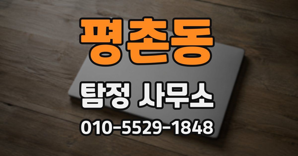 평촌동 탐정 사무소