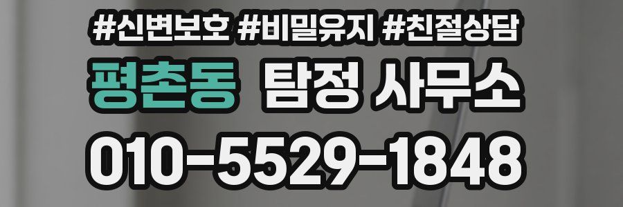 평촌동 탐정 사무소