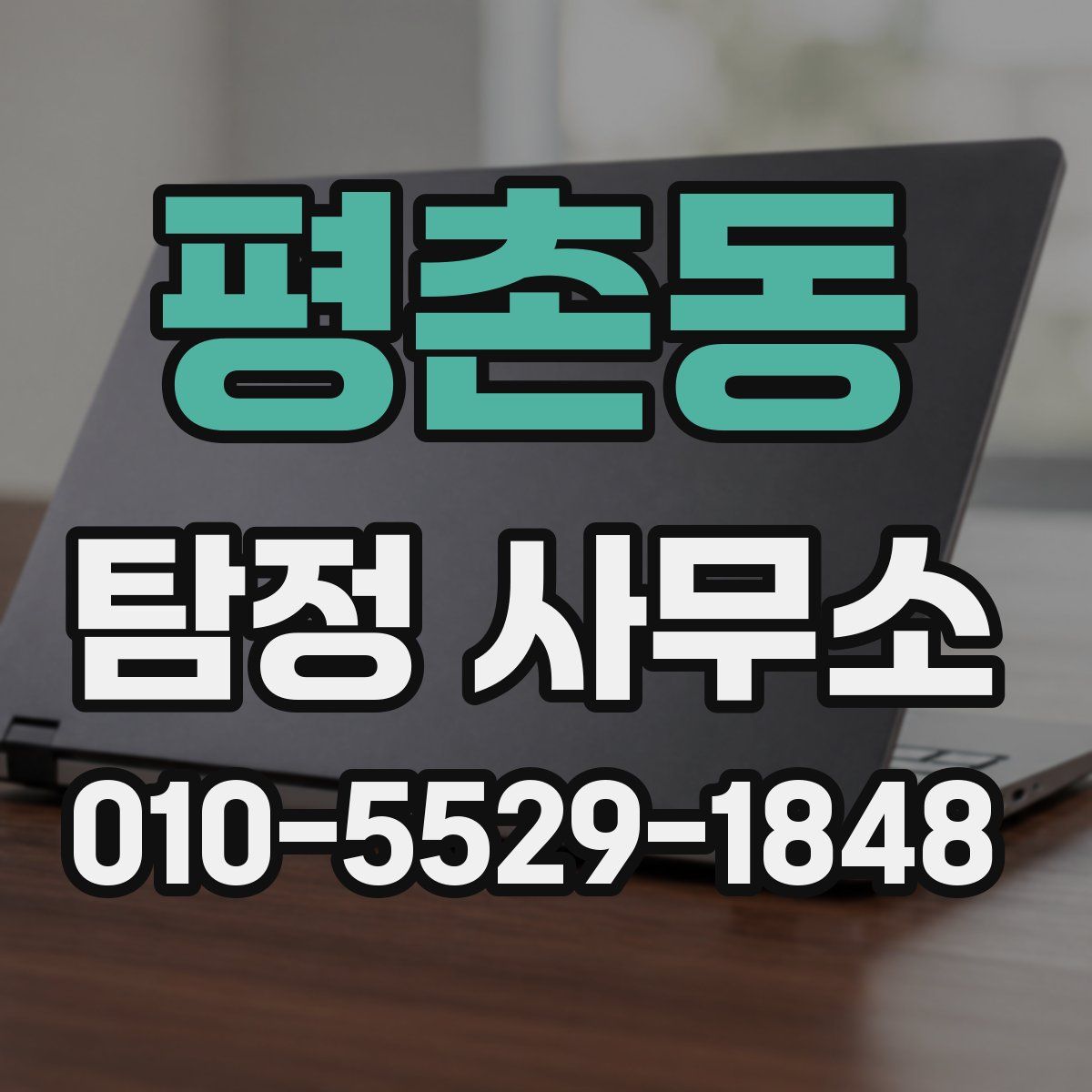 평촌동 탐정 사무소