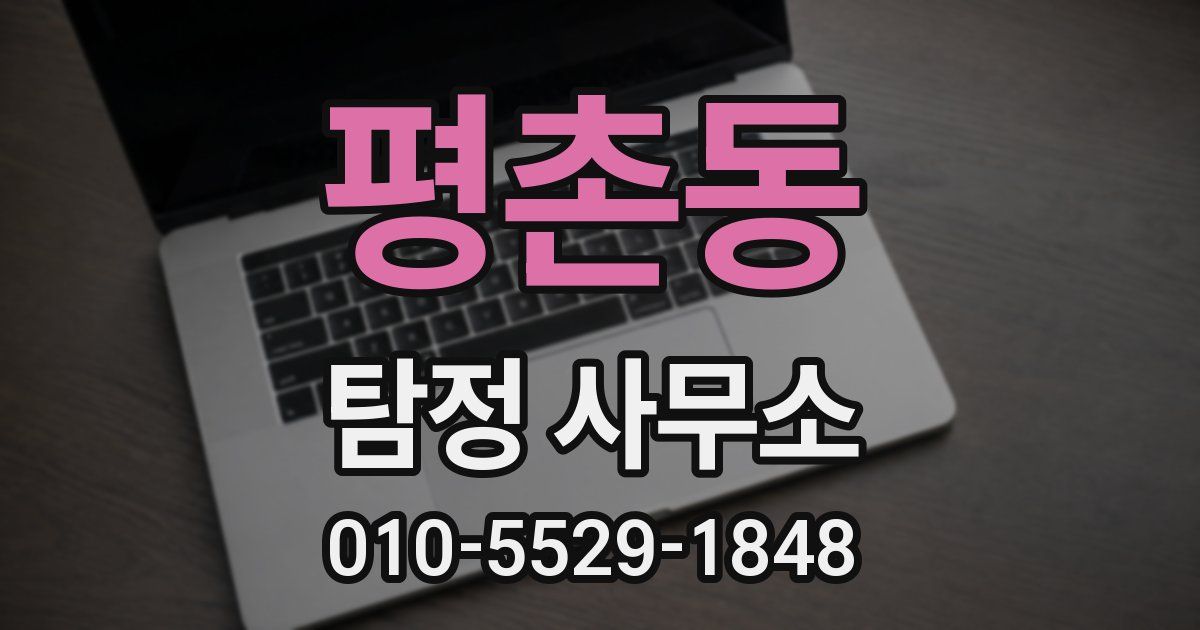 평촌동 탐정 사무소